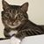 Catherine Martin's profile image