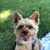 Twila Davis's profile image