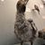Kimberly Bennalley's profile image