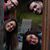 Rhonda Dawson-Chapple's profile image