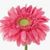 Karen Brown Lightsey's profile image