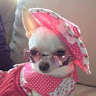 Leisa W.'s profile image