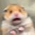 Andrew McKenna's profile image
