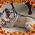 Martha Clausen's profile image