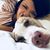 Christina Layn Smyre's profile image
