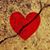 Cindy Kelly Felice's profile image