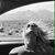 Melissa Morrison's profile image