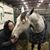 Amara Packwood Ponton's profile image