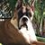Sandra Kistler's profile image