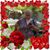 Katie Hedderich's profile image
