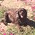Chrystie Brooks's profile image