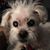 Sue Lukas's profile image