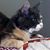 Judy Hudgins's profile image