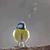Cathy Sloan Gallagher's profile image