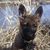 Deb Hurlburt's profile image