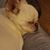 Lynn Breen's profile image