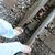 Ponchi Lopez-Escudero's profile image
