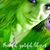 Traci Marie's profile image