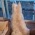 Kay Vail's profile image