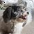 Elaine A. Russell's profile image