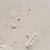 Jennifer Wehr's profile image