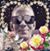 Kimberly Holley's profile image