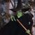 Cindy Mayfield Brefeld's profile image