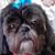 Cam Sargalski's profile image
