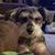 Jeff Greenhause's profile image