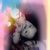 Chepe De Leon Jose's profile image