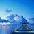 Tinian Rose's profile image