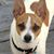Shirley Murphy's profile image