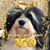Jackie Sumida's profile image