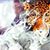 Rha-meen Fisher's profile image