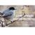 Deborah Moen Grover's profile image