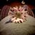 Meranda Stevens's profile image