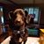 Kristina Meyers-Coffinger's profile image