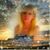 Jennifer Owen-Anderson's profile image