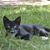 Karen Lindeman-Yost's profile image