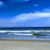 Carel Dewese's profile image
