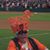 Kris Werner's profile image