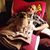 Phanessa Sansbury's profile image