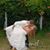 Shianne Massey's profile image