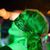 Zara Cameron Pirsig's profile image