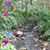 Ingrid Smith's profile image