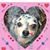 Krista Woodard's profile image