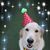 Barbara Conley Lindberg's profile image