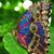 Patricia C Frye's profile image