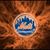 Pam Napholz Ponticello's profile image