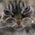 Wendy Drury's profile image
